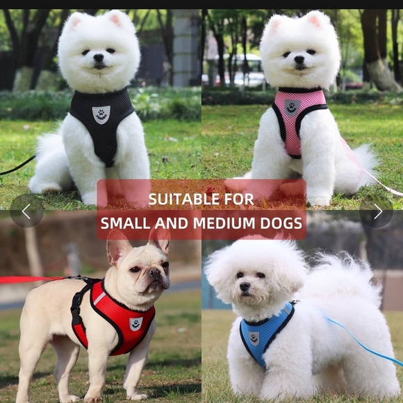 NWT Comfort Dog Harness Leash Bundle Set - Picture 4 of 5